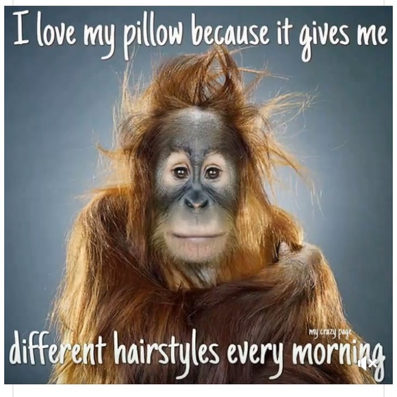 Meet your Posher, Laura - Picture 1 of 2